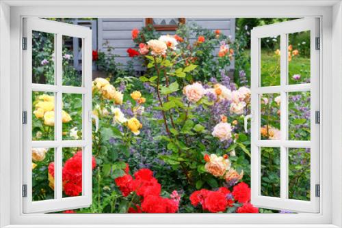 Fototapeta Naklejka Na Ścianę Okno 3D - Flower bed of red, yellow, orange roses on the background of a small wooden house, rustic style, summer outdoor recreation. Attractive English Formal Garden