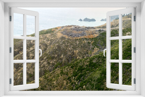 Fototapeta Naklejka Na Ścianę Okno 3D - Forestry section in Port Underwood, South Island, New Zealand