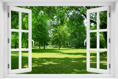 Fototapeta Naklejka Na Ścianę Okno 3D - Beautiful meadow in park