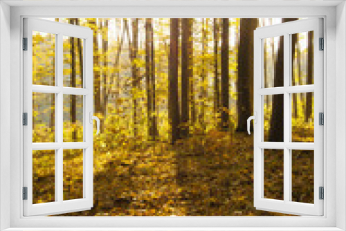 Fototapeta Naklejka Na Ścianę Okno 3D - Beautiful golden autumn landscape