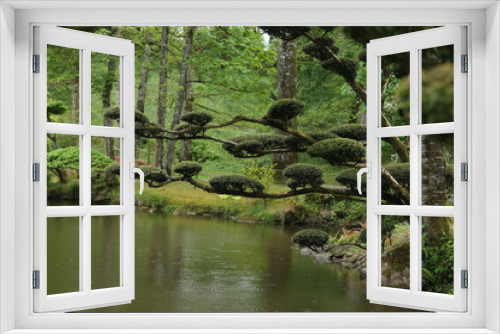 Fototapeta Naklejka Na Ścianę Okno 3D - Beauty nature in Japanese park in France in Maulivrier . Pays de la loire .