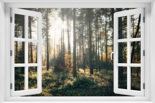 Fototapeta Naklejka Na Ścianę Okno 3D - Lappwald