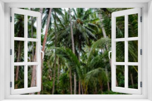 Fototapeta Naklejka Na Ścianę Okno 3D - Balinese Greenery