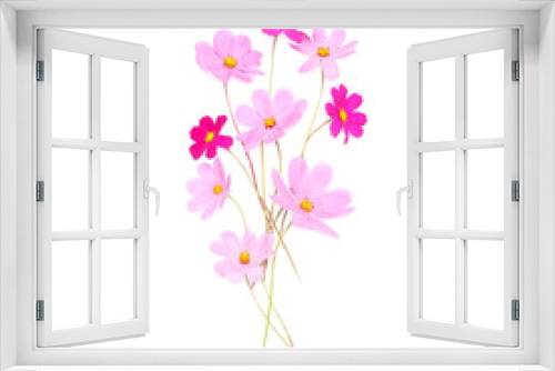 Fototapeta Naklejka Na Ścianę Okno 3D - Beautiful pink cute flowers isolated on a white background, flat lay, top view