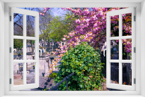 Fototapeta Naklejka Na Ścianę Okno 3D - Montmartre Cemetery