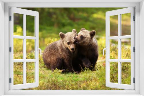 Fototapeta Naklejka Na Ścianę Okno 3D - Two cute Eurasian brown bear cubs play-fighting