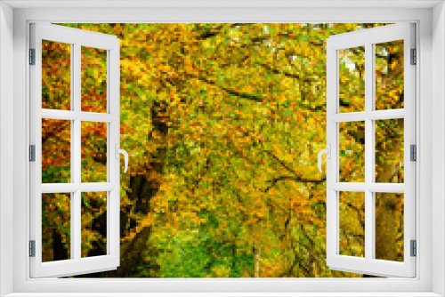 Fototapeta Naklejka Na Ścianę Okno 3D - The Autumn Path.