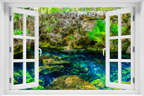 Fototapeta Naklejka Na Ścianę Okno 3D - Зеленое озеро голубые пальмы на горе