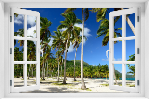 Fototapeta Naklejka Na Ścianę Okno 3D - Playa Rincon beach on Dominican Republic