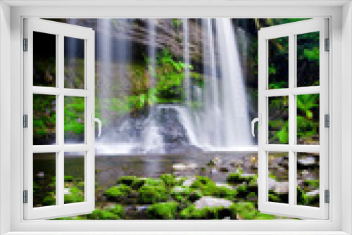 Fototapeta Naklejka Na Ścianę Okno 3D - Rainforest Heaven