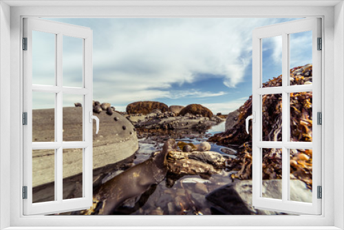 Fototapeta Naklejka Na Ścianę Okno 3D - Nova Scotia, Canada