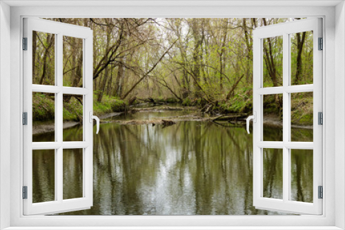 Fototapeta Naklejka Na Ścianę Okno 3D - River in green forest on spring