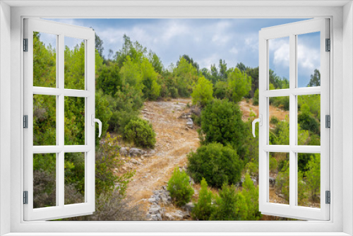 Fototapeta Naklejka Na Ścianę Okno 3D - Grüne Bäume in bergischer Bergregion