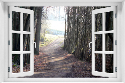 Fototapeta Naklejka Na Ścianę Okno 3D - Blick aus dem Wald heraus