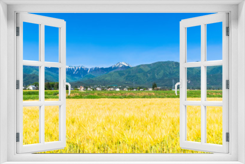 Fototapeta Naklejka Na Ścianę Okno 3D - 春の信州　常念岳と安曇野の麦畑