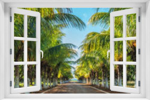Fototapeta Naklejka Na Ścianę Okno 3D - Picture of beautiful tropical alley of coconut trees.