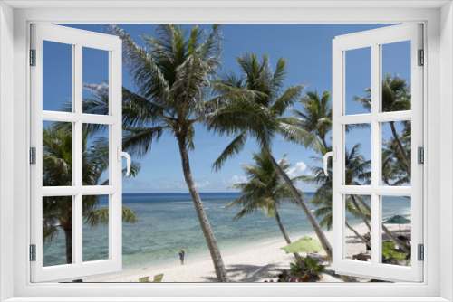 Fototapeta Naklejka Na Ścianę Okno 3D - Beautiful palm trees in Guam