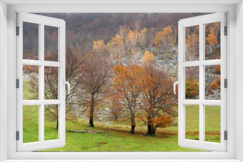 Fototapeta Naklejka Na Ścianę Okno 3D - Autumn landscape in Cernei Mountains, Carpathians Range, Romania, Europe