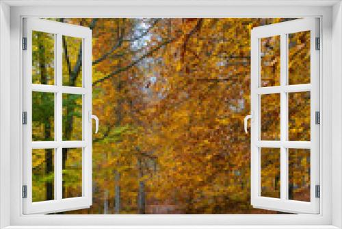 Fototapeta Naklejka Na Ścianę Okno 3D - Lovely Autumn Colors of Nature