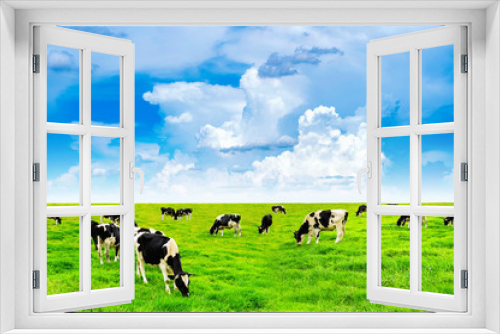 Fototapeta Naklejka Na Ścianę Okno 3D - Cows on a green field and blue sky.