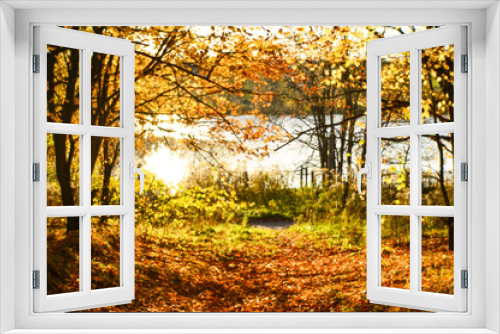 Fototapeta Naklejka Na Ścianę Okno 3D - Blurred autumn landscape backlit with trees, fallen yellow leaves and the soft light. Photography soft lens