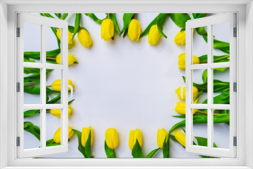 Fototapeta Naklejka Na Ścianę Okno 3D - yellow tulips in square shape with white background. overhead view.