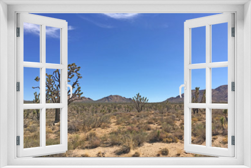 Fototapeta Naklejka Na Ścianę Okno 3D - Joshua trees in Mojave Desert