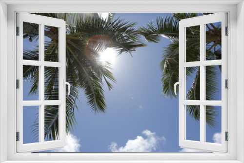 Fototapeta Naklejka Na Ścianę Okno 3D - Palm tree and blue sky