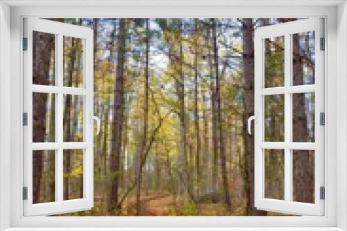 Fototapeta Naklejka Na Ścianę Okno 3D - Forest Path