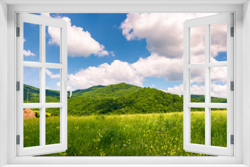 Fototapeta Naklejka Na Ścianę Okno 3D - haystack on the grassy field in mountains. beautiful countryside summer scenery in Carpathian mountains under the blue sky with white fluffy clouds