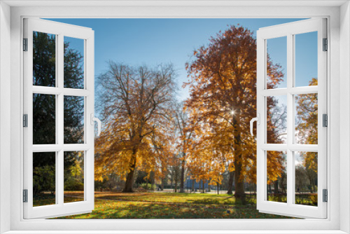 Fototapeta Naklejka Na Ścianę Okno 3D - Arbres un après-midi d'automne au parc de la pépinière de Nancy