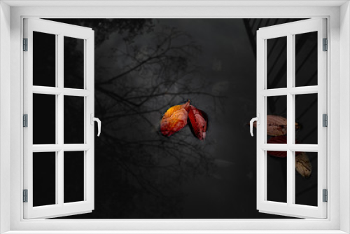 Fototapeta Naklejka Na Ścianę Okno 3D - red leaves