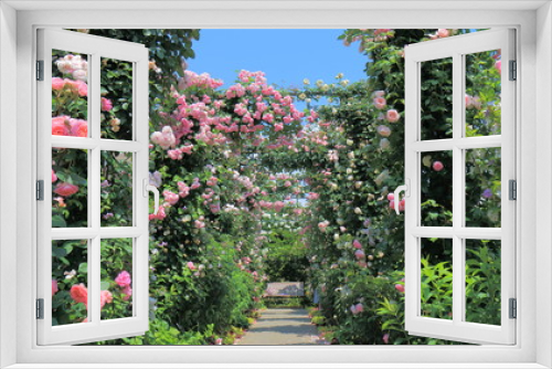 Fototapeta Naklejka Na Ścianę Okno 3D - Rose garden flower arcade and bench