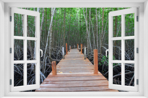 Fototapeta Naklejka Na Ścianę Okno 3D - amazing travel at beautiful brown bridge in nature green environment forest by landscape outdoor background