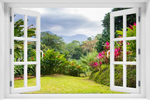 Fototapeta Naklejka Na Ścianę Okno 3D - Beautiful garden in tropical rainforest