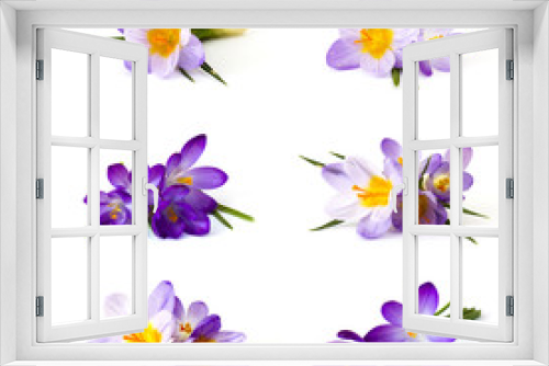Fototapeta Naklejka Na Ścianę Okno 3D - crocus flower on white background - fresh spring flowers - collage