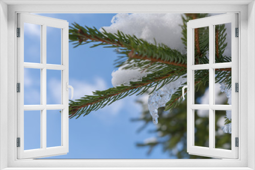Fototapeta Naklejka Na Ścianę Okno 3D - Schnee auf Tanne mit Blauem Himmel
