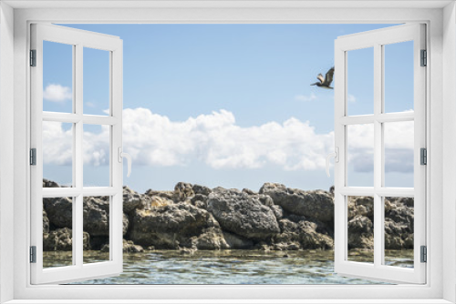Fototapeta Naklejka Na Ścianę Okno 3D - Karibik Bucht mit Pelikan 