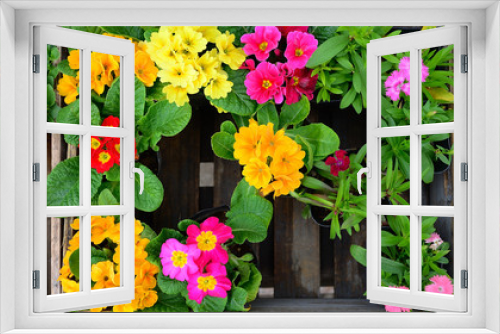 Fototapeta Naklejka Na Ścianę Okno 3D - Flowers.