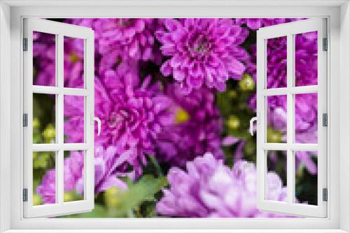 Fototapeta Naklejka Na Ścianę Okno 3D - Lilac pink flowers background. Flowers in green grass. Summer