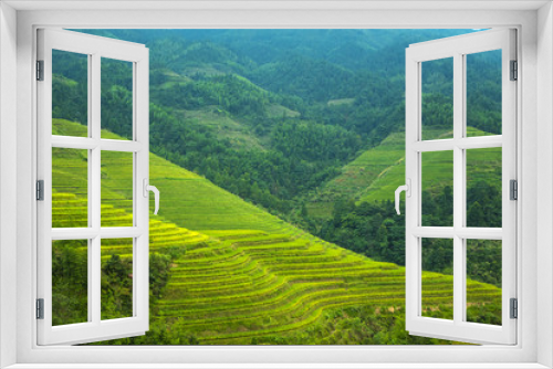 Fototapeta Naklejka Na Ścianę Okno 3D - Rives Terraces in Longsheng, LongJi region, China