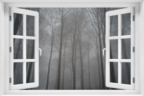 Fototapeta Naklejka Na Ścianę Okno 3D - Misty wood