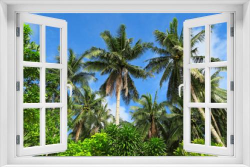 Fototapeta Naklejka Na Ścianę Okno 3D - Green palm trees in forest
