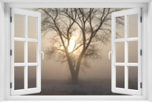 Fototapeta Naklejka Na Ścianę Okno 3D - Misty morning tree