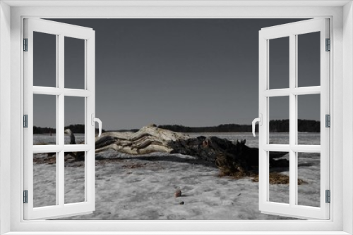 Fototapeta Naklejka Na Ścianę Okno 3D - drift wood 