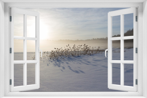 Fototapeta Naklejka Na Ścianę Okno 3D - Morning in the winter