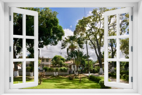 Fototapeta Naklejka Na Ścianę Okno 3D - vegetation tropicale 