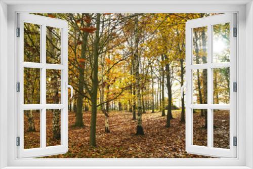 Fototapeta Naklejka Na Ścianę Okno 3D - Forest Trees