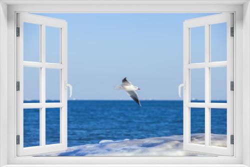 Fototapeta Naklejka Na Ścianę Okno 3D - The beautiful seagulls are on the beach