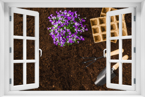 Fototapeta Naklejka Na Ścianę Okno 3D - Gardening tools on fertile soil texture background seen from above, top view. Gardening or planting concept. Working in the spring garden.
